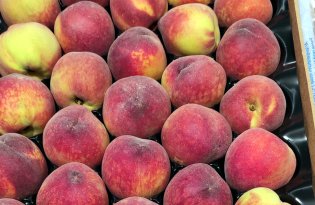 Owoce pestkowe – przybywa brzoskwiń, nektarynek i moreli, a ceny?