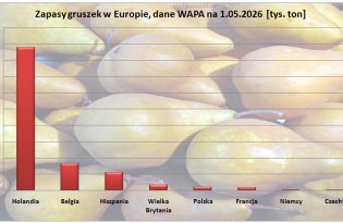 Jak duże były zapasy gruszek w kwietniu br. (dane WAPA)
