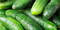 Poland: growing prices of cucumbers