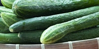 Poland: bigger supply of imported cucumbers