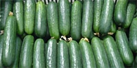 Prices of cucumbers