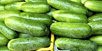 Price of greenhouse cucumbers