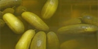 Growing demand for pickled cucumbers