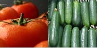 Poland: further increase in tomatoes and cucumbers prices