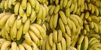 На московском рынке наблюдается дефицит банана