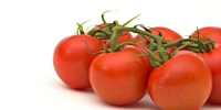 Poland: further increase in tomatoes prices