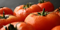 Poland: upward trend in prices of Spanish tomatoes?