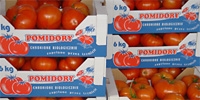 Poland: BB tomatoes in the biggest demand