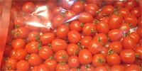 Poland: stable prices of domestic tomatoes