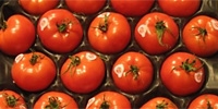 Poland: prices of tomatoes once again