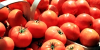 Poland: further increase in tomatoes prices