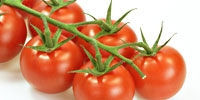 Poland: slight increase in tomatoes prices