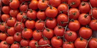 Poland: prices of greenhouse tomatoes