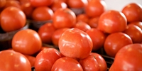 Poland: further decrease in tomatoes prices