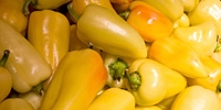 Poland: prices of sweet peppers