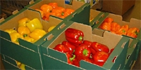 Poland: prices of sweet peppers