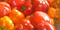 Poland: prices of sweet peppers