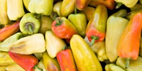 Lower prices of sweet peppers for processing