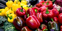 Poland: the supply of sweet pepper is still stable