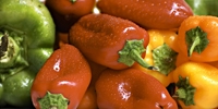 Prices of imported peppers