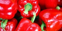 Poland: increase in capsicum prices