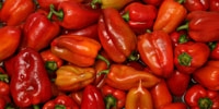 Poland: increase in prices of Spanish red sweet pepper