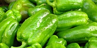 Poland: increasing supply of domestic sweet peppers
