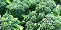 Poland: high supply of broccoli and cauliflowers