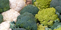 Poland: increase in prices of broccoli and cauliflowers