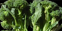 Unfavourable weather for broccoli