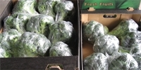 Poland: the end of domestic broccoli
