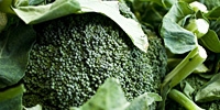 Poland: prices of broccoli