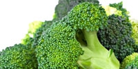 Poland: increase in prices of Spanish broccoli