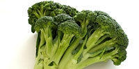 Poland: decline in prices of imported broccoli