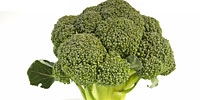 Poland: prices of broccoli and cauliflowers