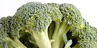 Growing prices of broccoli on Polish market