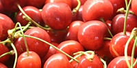 Poland: prices of cherries