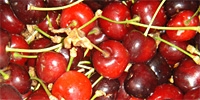 Lower incomes from cherries export