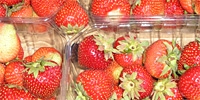 The Dutch love Polish strawberries