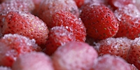 China is becoming the largest exporter of frozen strawberries