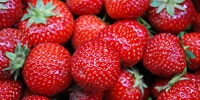 Poland: prices of strawberries