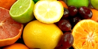 Stagnation in trade of citrus fruit?