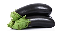 Production of aubergines