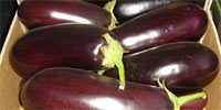 Prices of aubergines are increasing