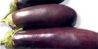 Diversified prices of aubergines
