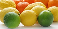 Weekly summary – fresh-market.pl price analyse (15-21.12.2008)