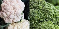 Poland: prices of imported broccoli and cauliflowers