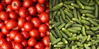 Poland: stable prices of tomatoes, cucumbers went up