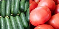 Stable prices of cucumbers and tomatoes