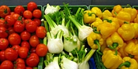 Poland: import of fresh vegetables in April 2009